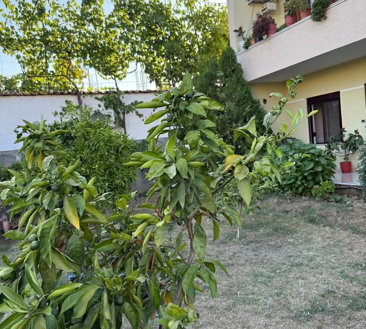 Villa Quiet Room, close to Airport Kamez